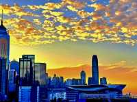 The Amber Echo of Causeway Bay Golden Scales