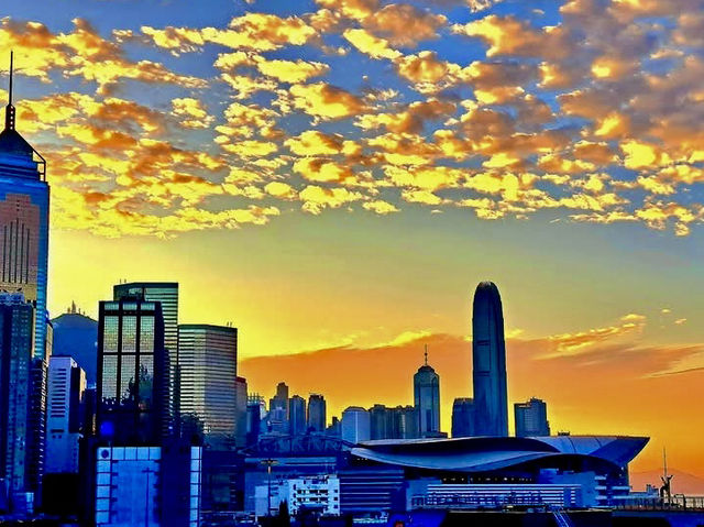 The Amber Echo of Causeway Bay Golden Scales