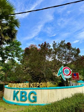 Sunny FRIM Retreat🌳 Living Forest That Breathes With the City