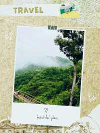 🌆✨ Hong Kong City Lights & Urban Adventures 🏙️🎉