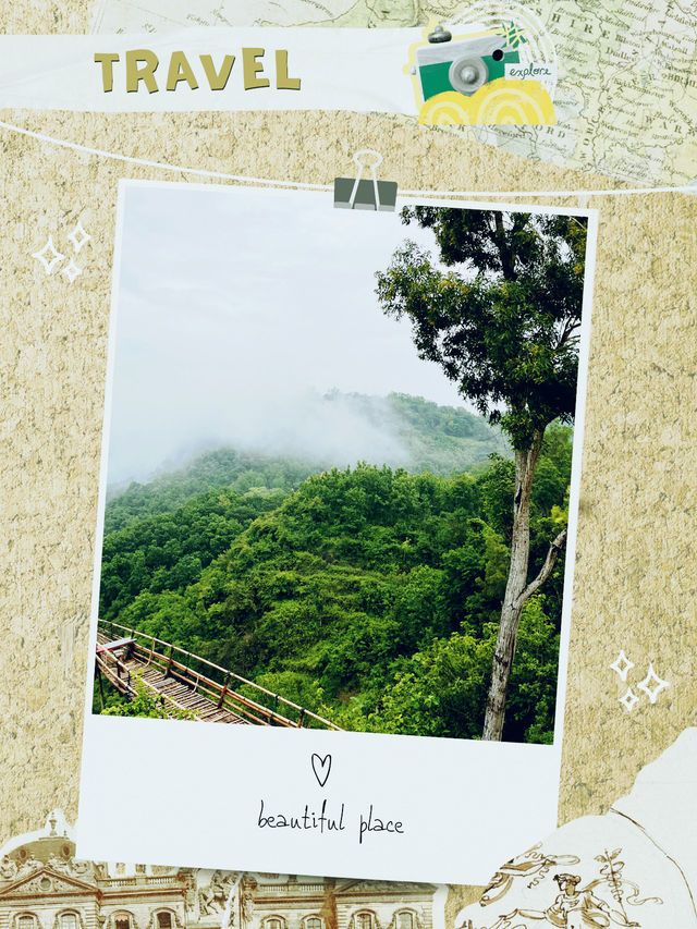 🌆✨ Hong Kong City Lights & Urban Adventures 🏙️🎉 🌆✨ Hong Kong City Lights & Urban Adventures 🏙️🎉