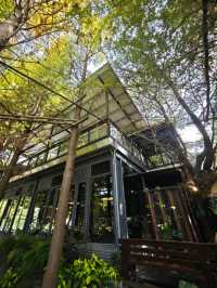 🌲落羽松秘境中的蔬食饗宴#🌿 澄石享自在-臺中市北屯區