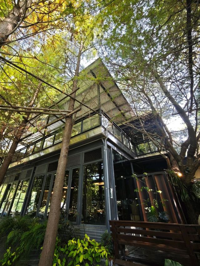 🌲落羽松秘境中的蔬食饗宴#🌿 澄石享自在-臺中市北屯區