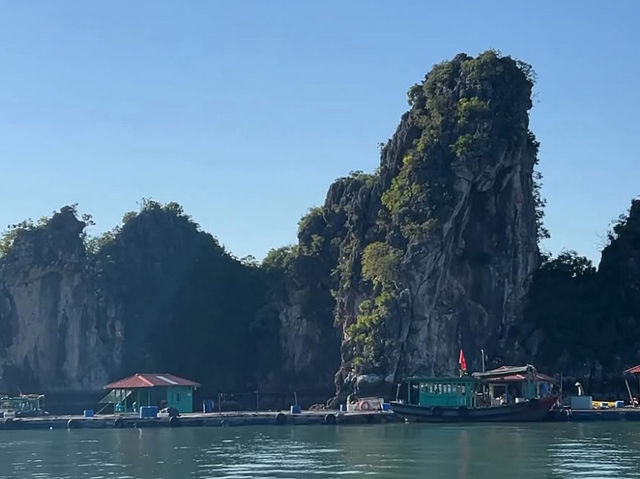 越南河內 下龍灣 印度支那號輕奢華郵輪