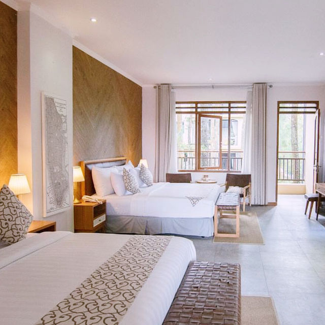 Nature-Lover’s Dream Stay: Cozy Hotel Review 🏡🌲 Nature-Lover’s Dream Stay: Cozy Hotel Review 🏡🌲