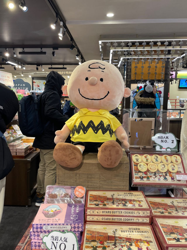 삿포로 근교 당일치기 최강 코스 = 오타루 🎐❄️