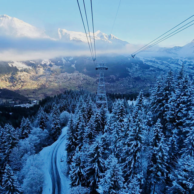 Scenic Ski Escape🗻 Scenic Ski Escape🗻