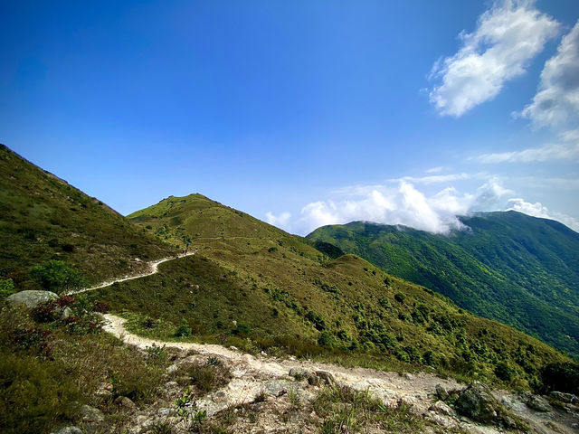 蓮花山的冒險：探索未知國度的勇氣 🏞️🌿