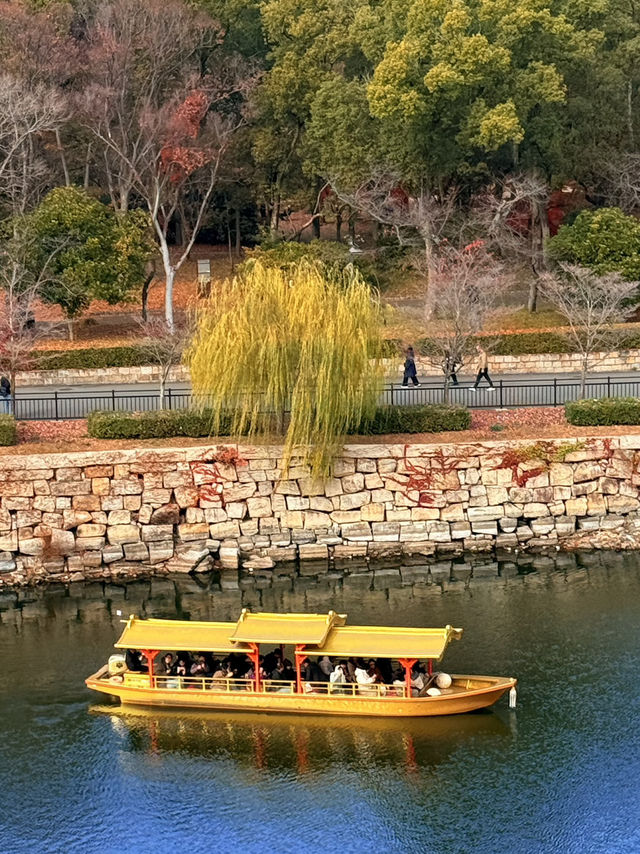 大阪｜連兩年造訪大阪城 看秋日銀杏與楓紅的別樣美感