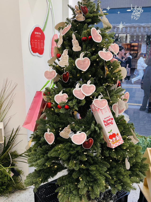 경주 체리주 경주 체리주