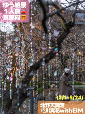 Kitano Tenmangu Shrine × Mika Ninagawa Collaboration