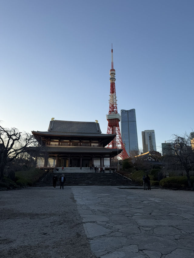Tokyo Tower: Sunset Vibes & City Lights 🌆✨