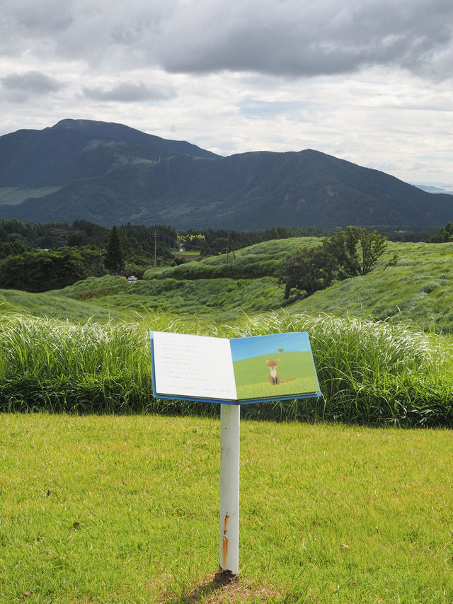 大自然満喫!春から秋にオススメの阿蘇の絶景スポット