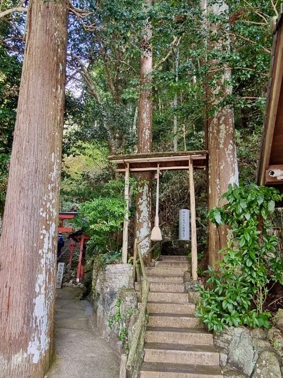 運試しをしたいなら南蔵院へ。 | Trip.com 篠栗町