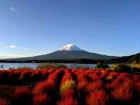 富士山《五合目與自然文化探索》