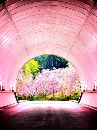 [Shiga] Just like Shangri-La! A relaxing trip for adults to enjoy at the MIHO Museum and Shigaraki Tanuki Village.