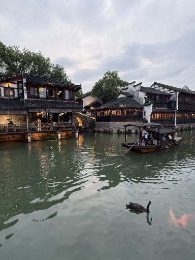 Taking Home a Piece of Wuzhen: The Most Meaningful Souvenir I