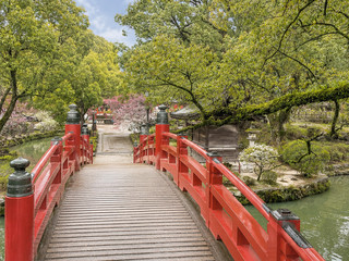 🌸⛩️ 겨울의 후쿠오카… 일본 다자이후에서 산책하며 소원을 빌고 매화꽃을 감상해 보세요 🇯🇵✨