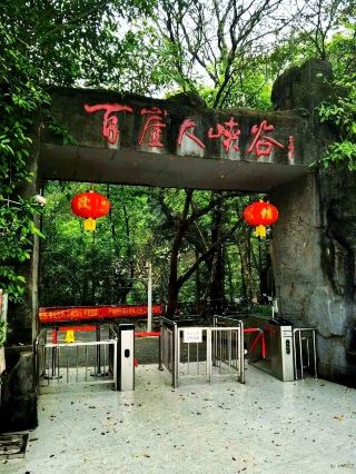 Hailed as the "Little Jiuzhaigou of Guangxi"! An In-Depth Guide to Baiya Grand Canyon.