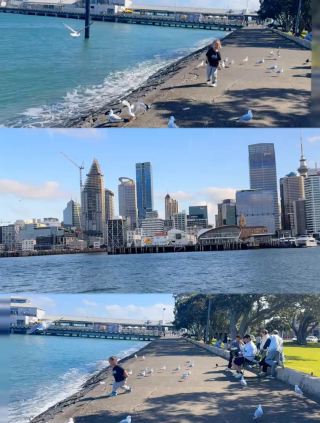 A Slow Day in Devonport — Sea Views & Small-Town Vibes ✨