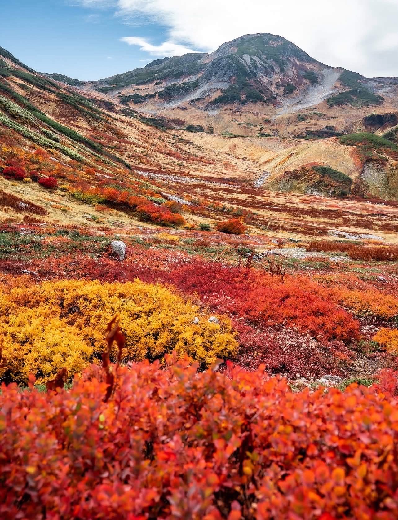 🍁🏔️ Tateyama in Autumn — where the Japanese Alps turn red and gold