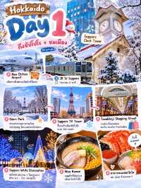 หนาวนี่เที่ยว Hokkaido 