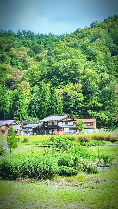 這次旅行安排了飛驒老街+白川鄉合掌村的一日行程,也是這趟日本旅行中讓我印象非常深刻的一天。第一次一個人來到這些地方,雖然是當天來回,行程比較充實,但沿途的風景、美食和悠閒的氛圍,都讓我覺得這趟旅程非常值得。

第一站來到飛驒老街,街道兩旁保留著濃濃的日本傳統風情,木造建築、老房子、小店和街道都非常有特色。漫步在老街裡,沒有城市裡的匆忙感,可以慢慢逛、慢慢拍照,也可以隨意走進喜歡的店家。沿途看到許多飛驒牛料理、甜點和伴手禮,忍不住一路吃吃逛逛,感覺每一家都有自己的特色。

接著前往白川鄉合掌村,這也是我這一天最期待的地方。當天天氣非常好,天空很藍,陽光灑在整個村落上,遠方是群山,一棟棟合掌造的傳統房屋散落在山谷之間,景色真的非常漂亮。站在高處眺望整個白川鄉時,會有一種來到童話世界的感覺,眼前的風景怎麼拍都很好看。

這趟旅程最讓我喜歡的,是一個人旅行的自在感。沒有需要配合別人的時間,想停下來拍照就停下來,想吃東西就找一家喜歡的店,看到漂亮的風景也可以自己安靜地欣賞。以前總覺得旅行一定要有人陪才有趣,但這次獨旅讓我發現,一個人也可以擁有非常豐富而美好的回憶。

而且這一天不只是景色漂亮,食物也讓我很滿足。飛驒牛料理真的很好吃,在旅行途中吃上一份熱騰騰的當地料理,特別有幸福感。再搭配沿途看到的山景、老街和傳統建築,整個旅程都充滿了日本鄉村旅行的味道。

雖然只是一天來回,但飛驒老街與白川鄉合掌村都讓我留下很深的印象。好天氣、美景、美食,再加上一個人旅行時的自由與從容,讓這一天成為這趟旅程中很值得記住的一段回憶。如果有機會,我還想在不同季節再回來看看,相信春夏秋冬的飛驒與白川鄉,一定都有完全不同的美。 #白川鄉合掌村 
