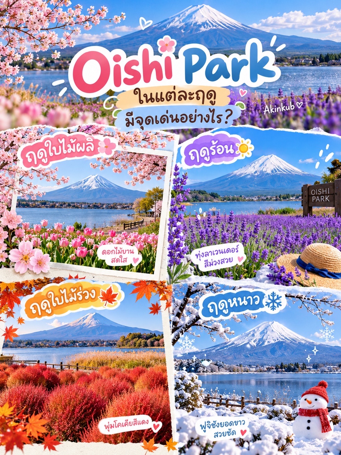 Oishi Park ในแต่ละฤดู มีจุดเด่นอย่างไร?