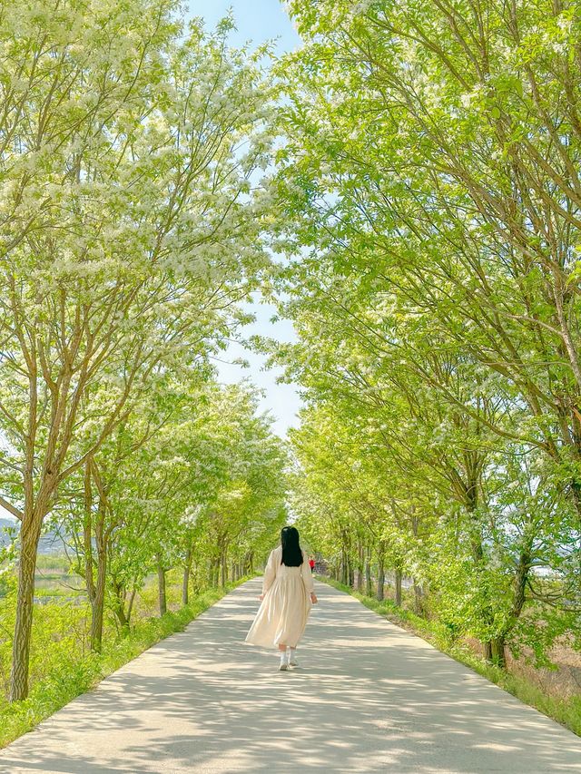 ์ฒญ์ฃผ์ ๋ด๋ฆฐ 5์์ ํ์ ๋โ๏ธ๐ฟ ์ฒญ์ฃผ์ ๋ด๋ฆฐ 5์์ ํ์ ๋โ๏ธ๐ฟ