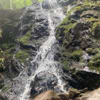 Our Great Smoky Mountains Trip 2020
