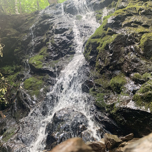 Our Great Smoky Mountains Trip 2020