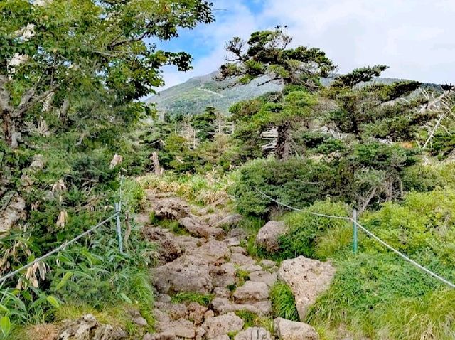 超美漢拏山國立公園