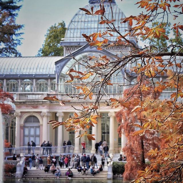 Autumnal Stroll through Retiro Park