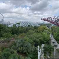 Sensational Singapore 