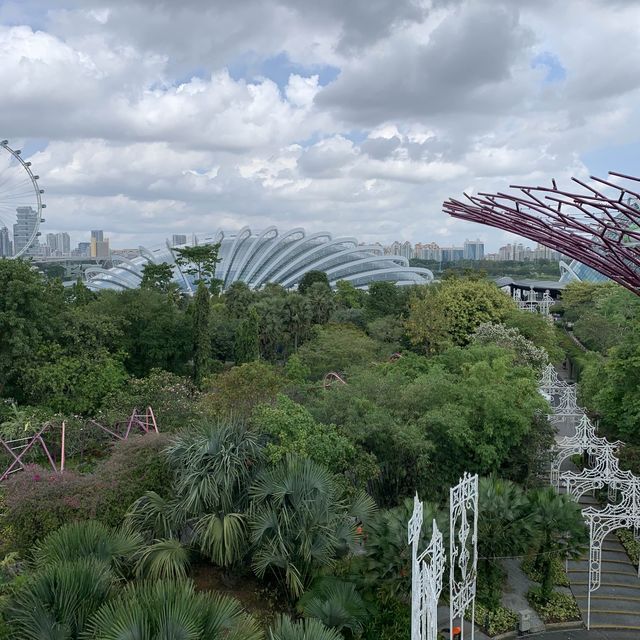 Sensational Singapore 