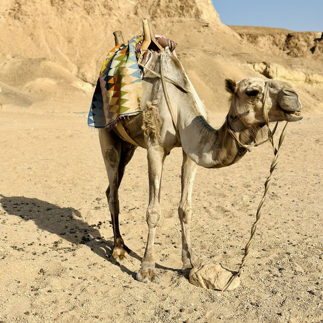 Colorful Marsa Alam - true side of Egypt 