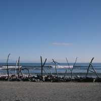 I VISITED NEW ZEALAND’S FAMOUS BEACH TOWN 
