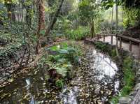 Fern Dell Nature Trail 🇺🇸