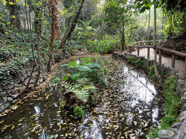 Fern Dell Nature Trail 🇺🇸