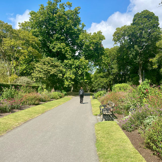 Dublin's Heart ❤️ 
