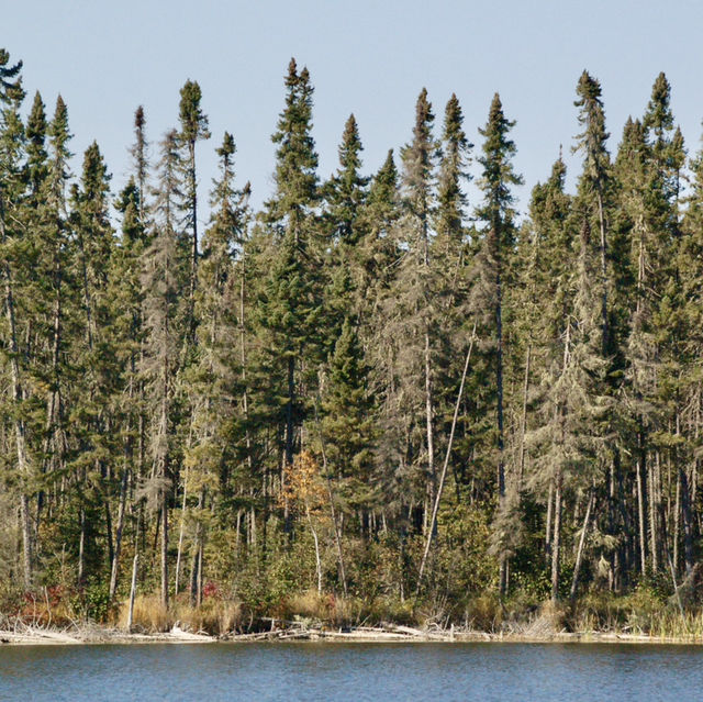 Autumn Kayaking at Red Lake 🍂🛶