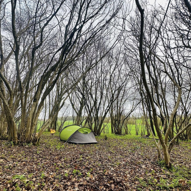 Camping in Hampshire 🏕️