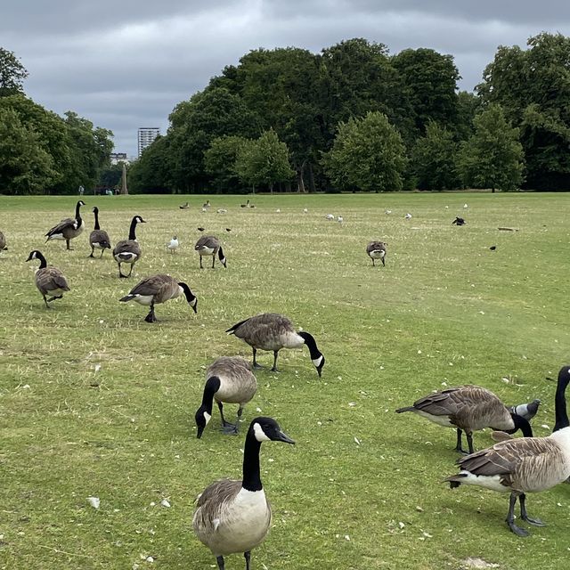 Cycling with a View: Kensington Palace Experience