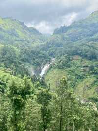 Munnar’s Misty Enchantment