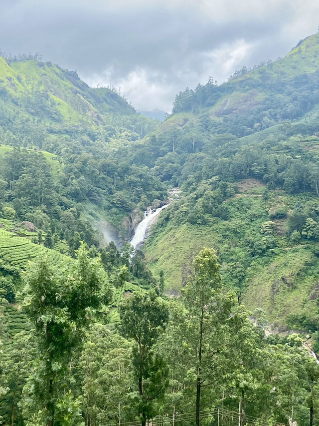 Munnar’s Misty Enchantment