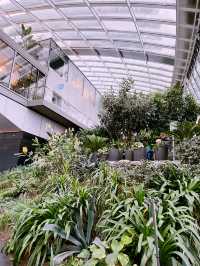 London’s Sky Garden: The Best Free View of the City