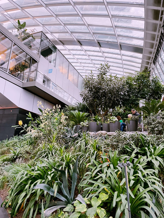 London’s Sky Garden: The Best Free View of the City