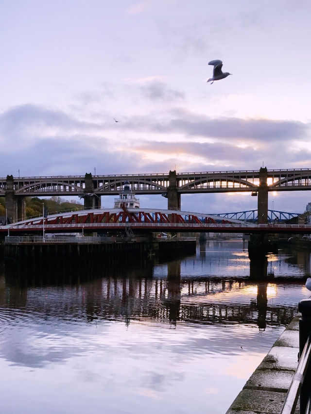 Explore Newcastle: A Perfect Blend of History, Culture, and Modern Vibes 🏙️🌟