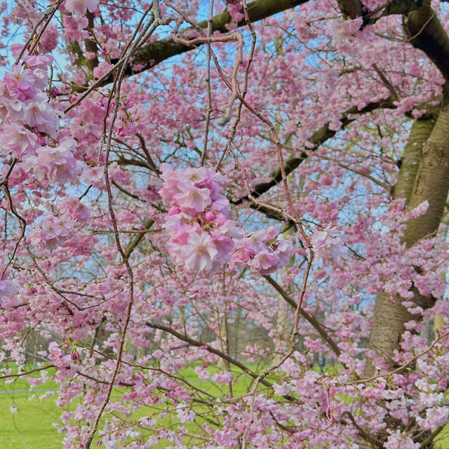 How to spend 8 days in London