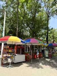 Spring Strolls in Panfilov Park, Bishkek – Cute Park!